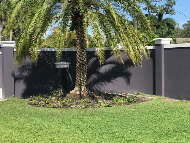 Palm tree casting shadow on garden wall.