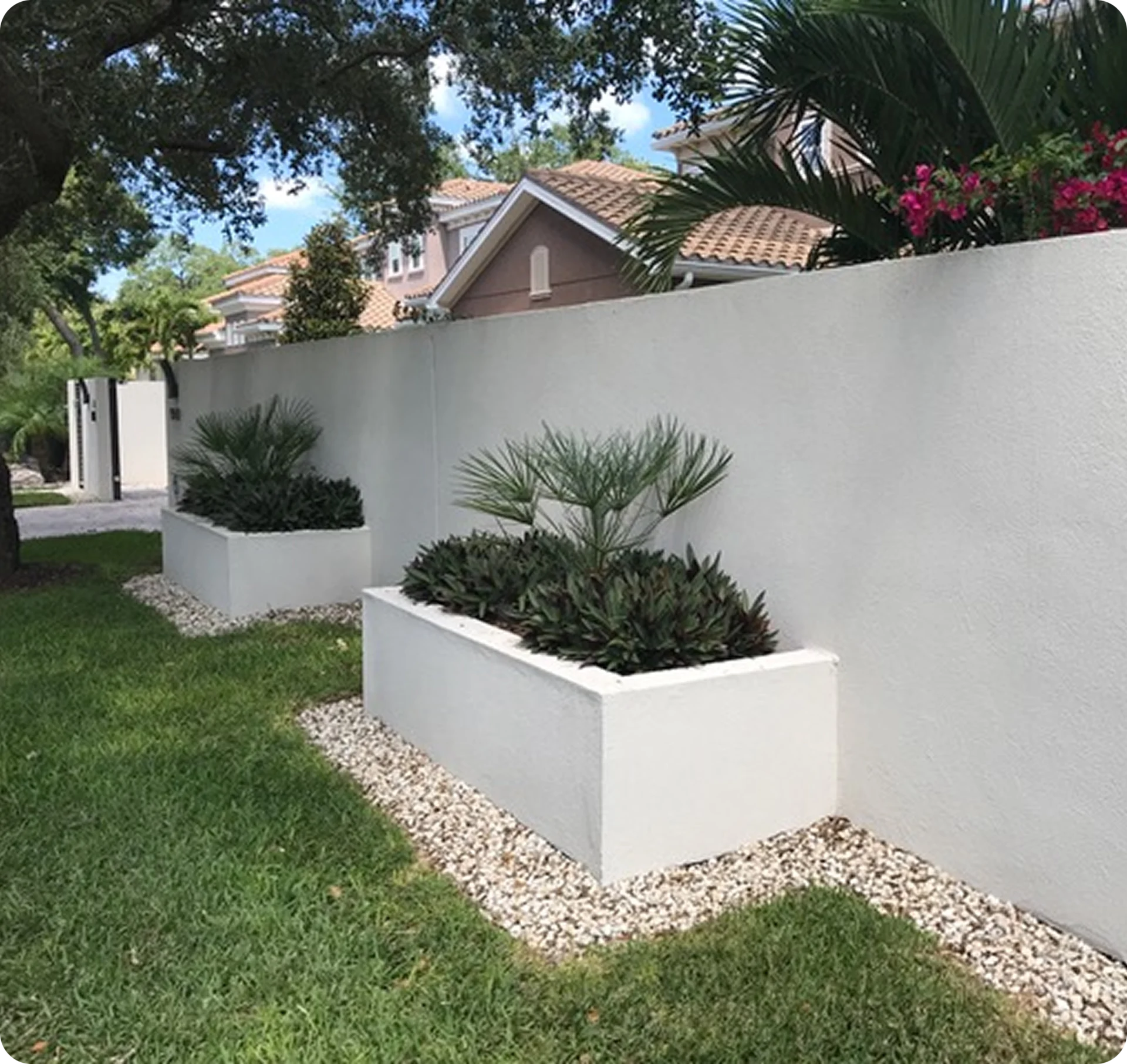 White planters with greenery beside a wall.